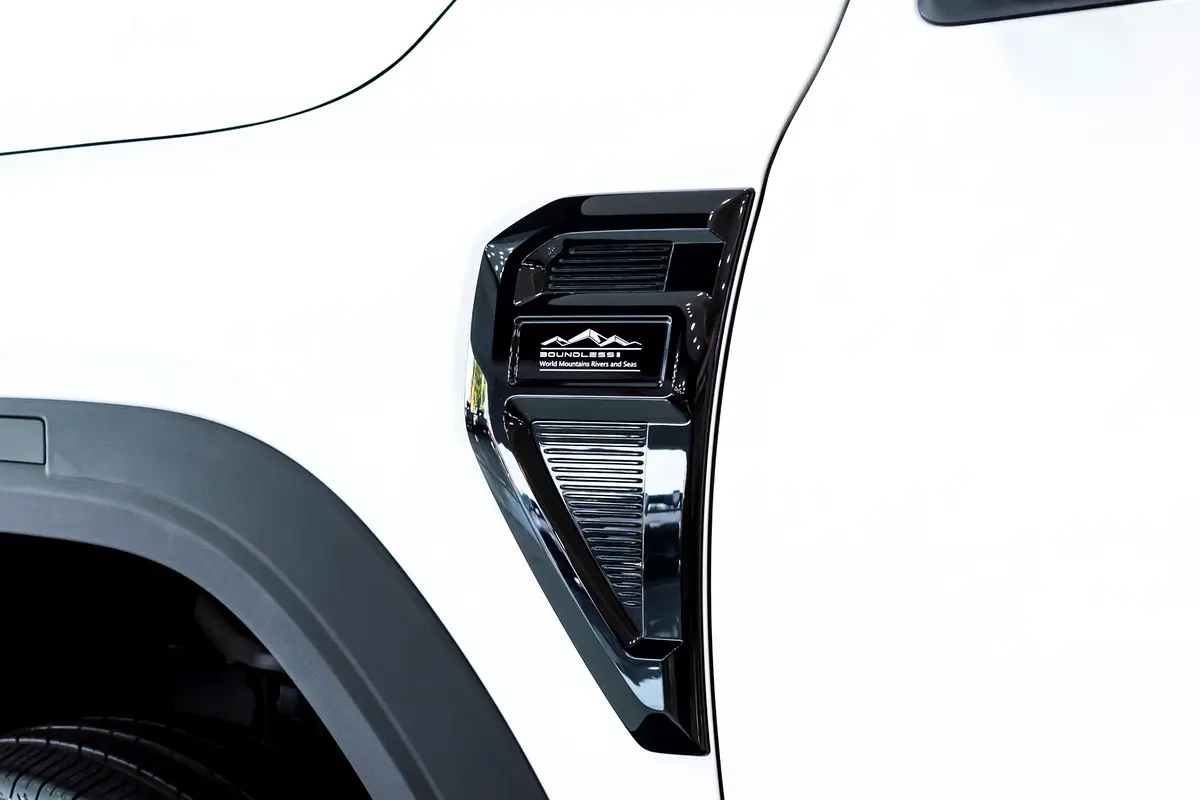 Chery RELY R8 Comfort Side cover