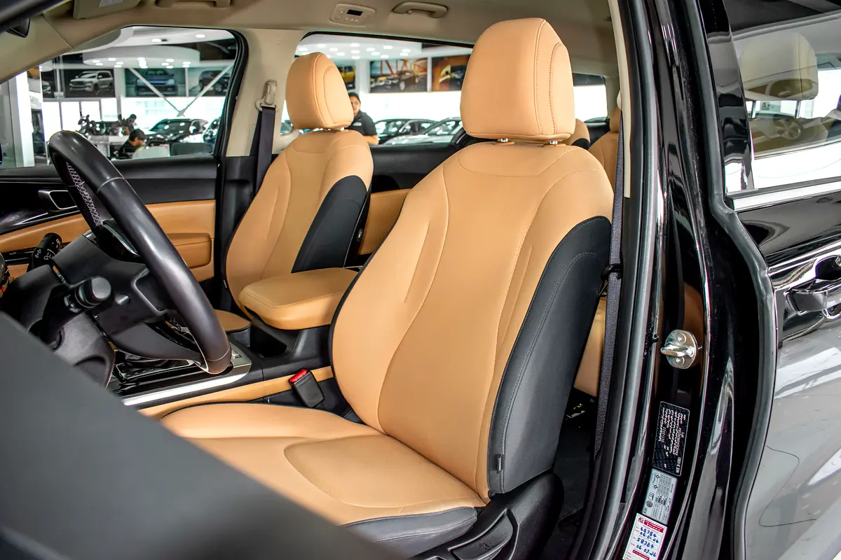 Kia Carnival LX Interior cover