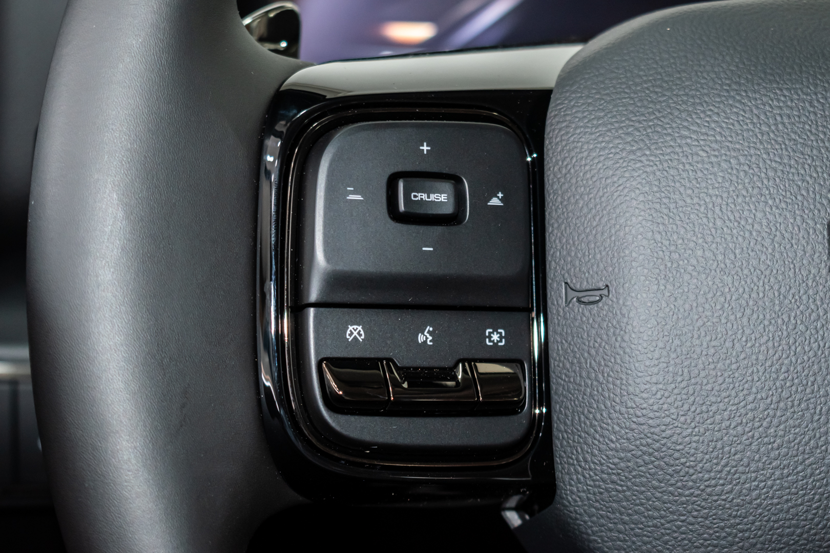 HAVAL H9 view 12