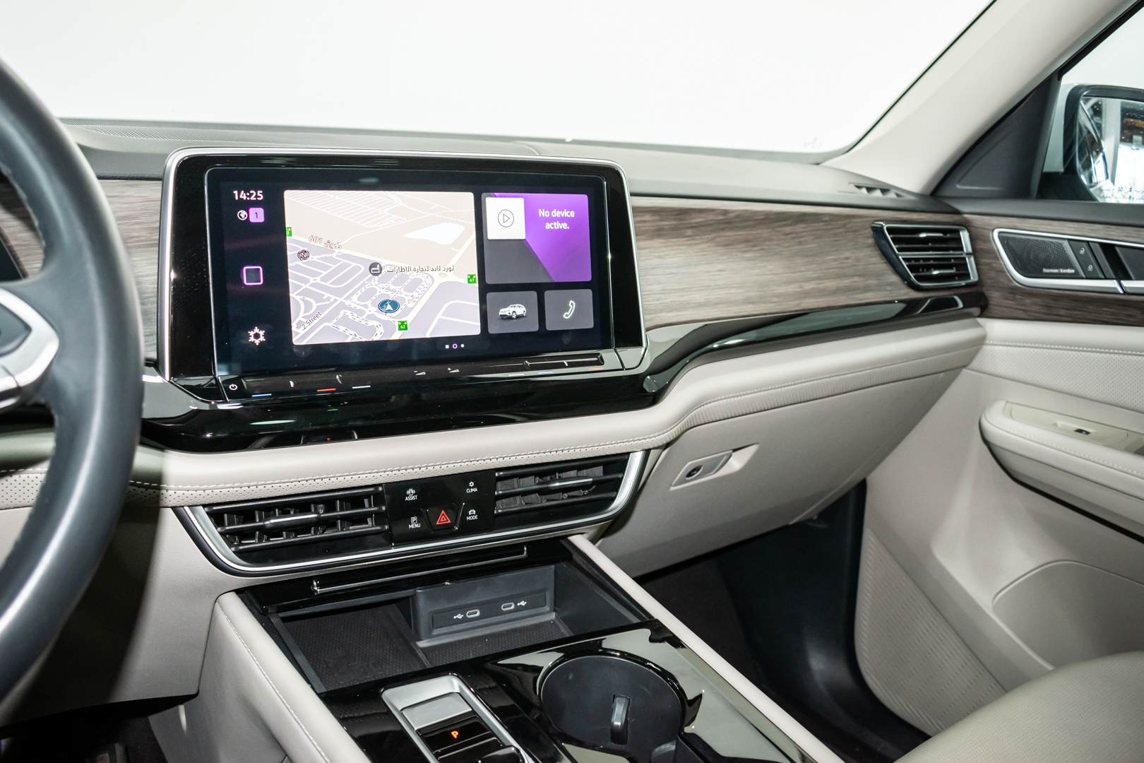 VW TERAMONT view 12