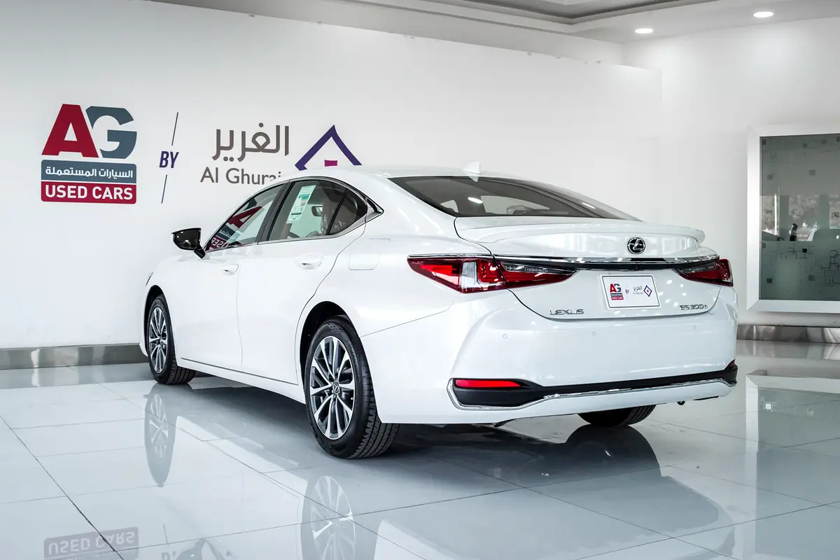 Lexus ES-Series ES 300h view 1