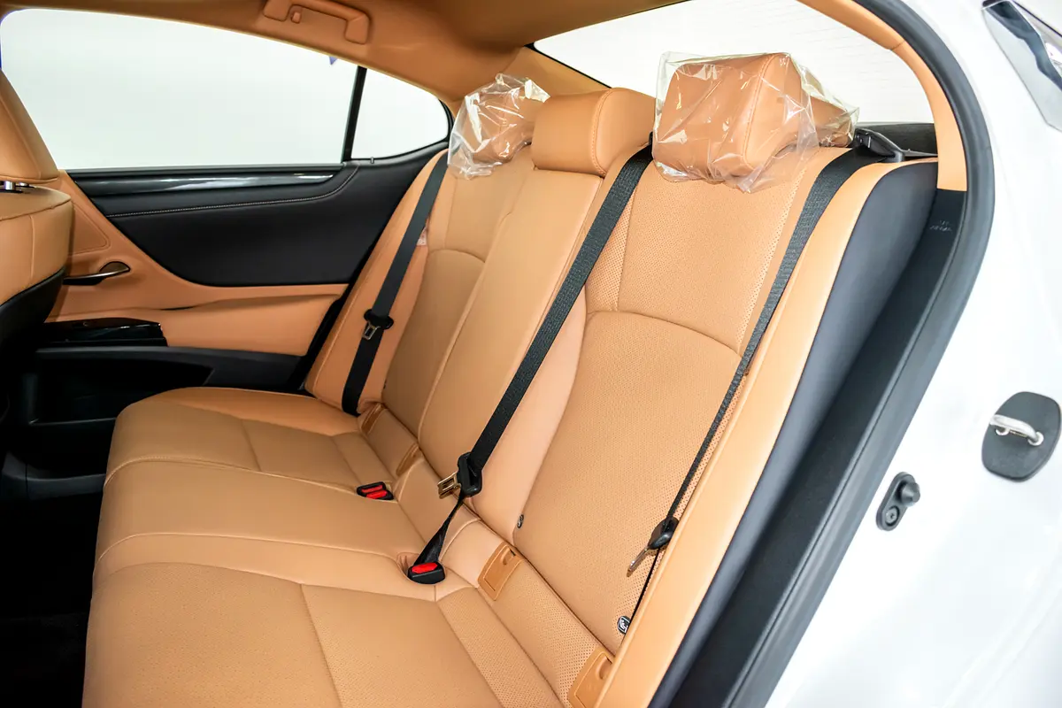 Lexus ES-Series ES 300h Interior Back cover