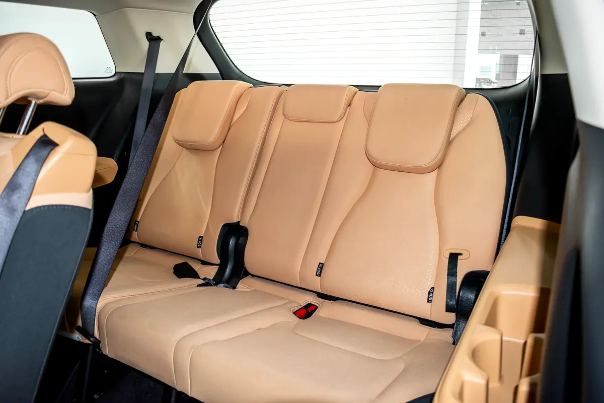 Kia Carnival LX Interior Back cover